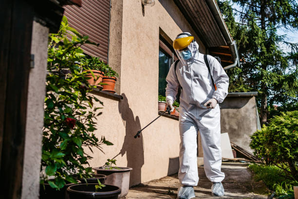 Best Rat Extermination Near Me  in Livingston, MT