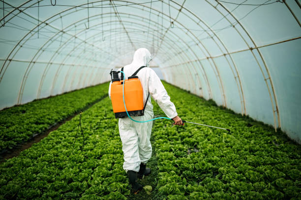 Best Best Pest Control Companies  in Livingston, MT