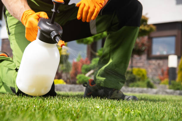 Best Termite Control Services  in Livingston, MT