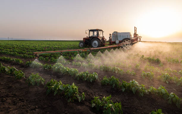 Best Pest Prevention Services  in Livingston, MT