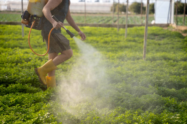 Best Emergency Pest Control  in Livingston, MT