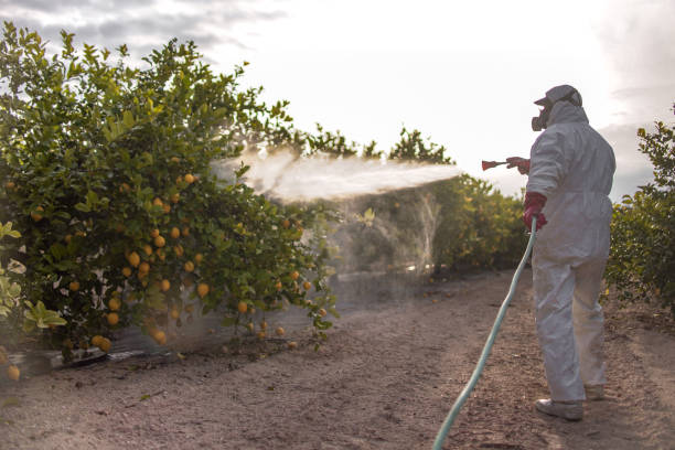 Best Residential Pest Control  in Livingston, MT