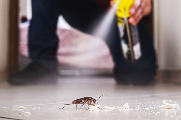Best Affordable Pest Control Services  in Livingston, MT