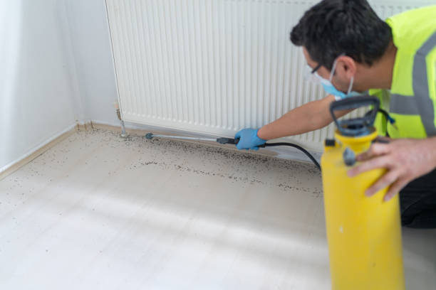 Best Commercial Pest Control Services  in Livingston, MT