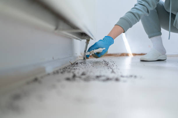 Reliable Livingston, MT Pest Control Solutions