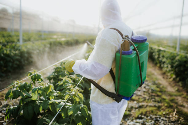 Best Ant Control Services  in Livingston, MT